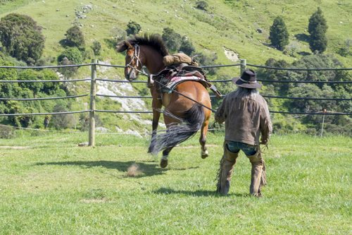 horse bucking with saddle Tommy Weera