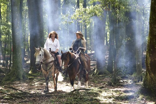 2 horses & riders in smokey forest