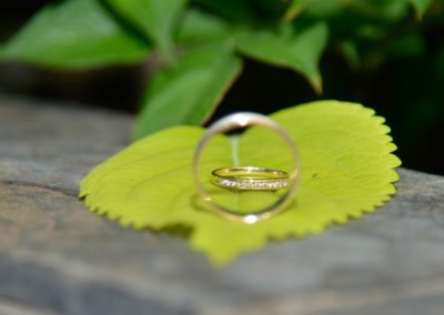closeup of wedding rings sitting on green leaf, Wellington rose gardens