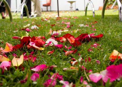 red and other brightly coloured petals scattered on green grass aisle
