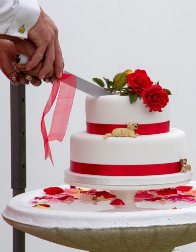 Closeup of cutting wedding cake with red ribbons and flowers, and toy dogs
