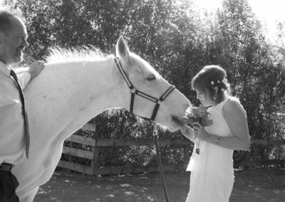 B&W bride with white horse trying to eat bouquet